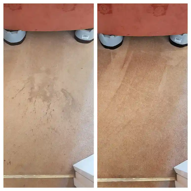 Carpet Cleaning Before and After