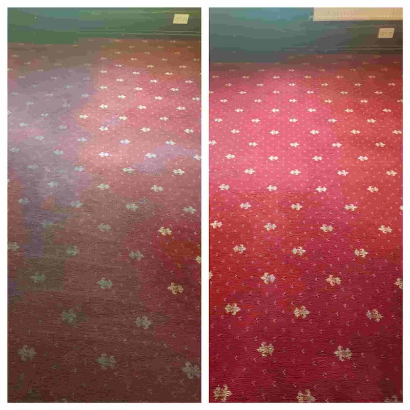 Stain Removal Carpet Cleaning